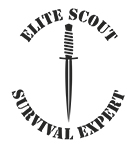 logo scout
